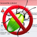 Wordpress Hacked at Godaddy with Losotrana Wordpress Hacked at Godaddy with Losotrana