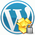 Premium WordPress Security and Installation