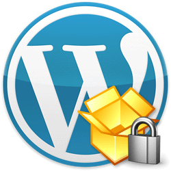 Premium WordPress Security and Installation