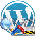 WordPress Security Packages